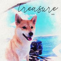 TREASURE