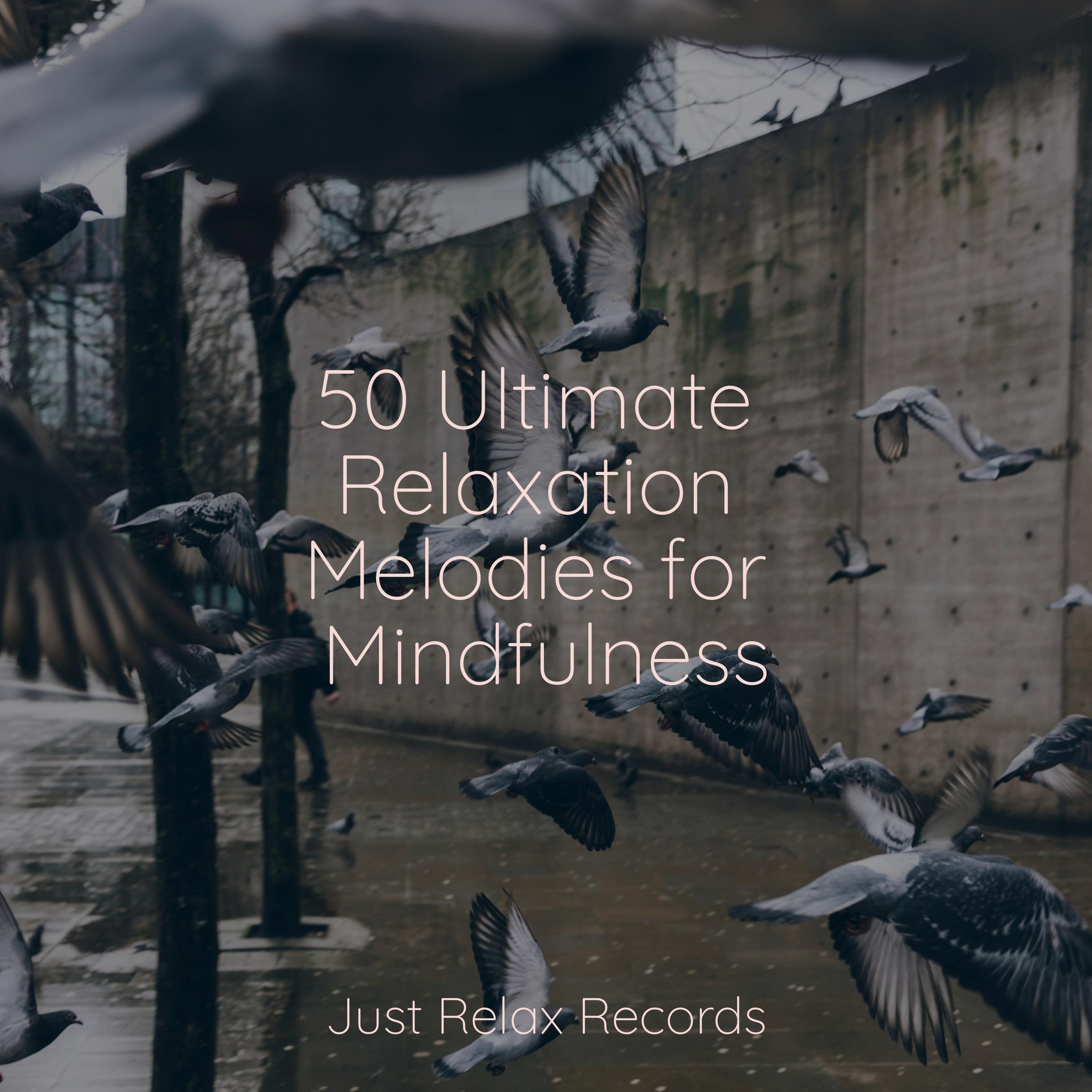 Eternal Embers Ascend