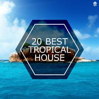 20 Best Tropical House