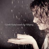 Gentle Rain Sounds for Sleeping