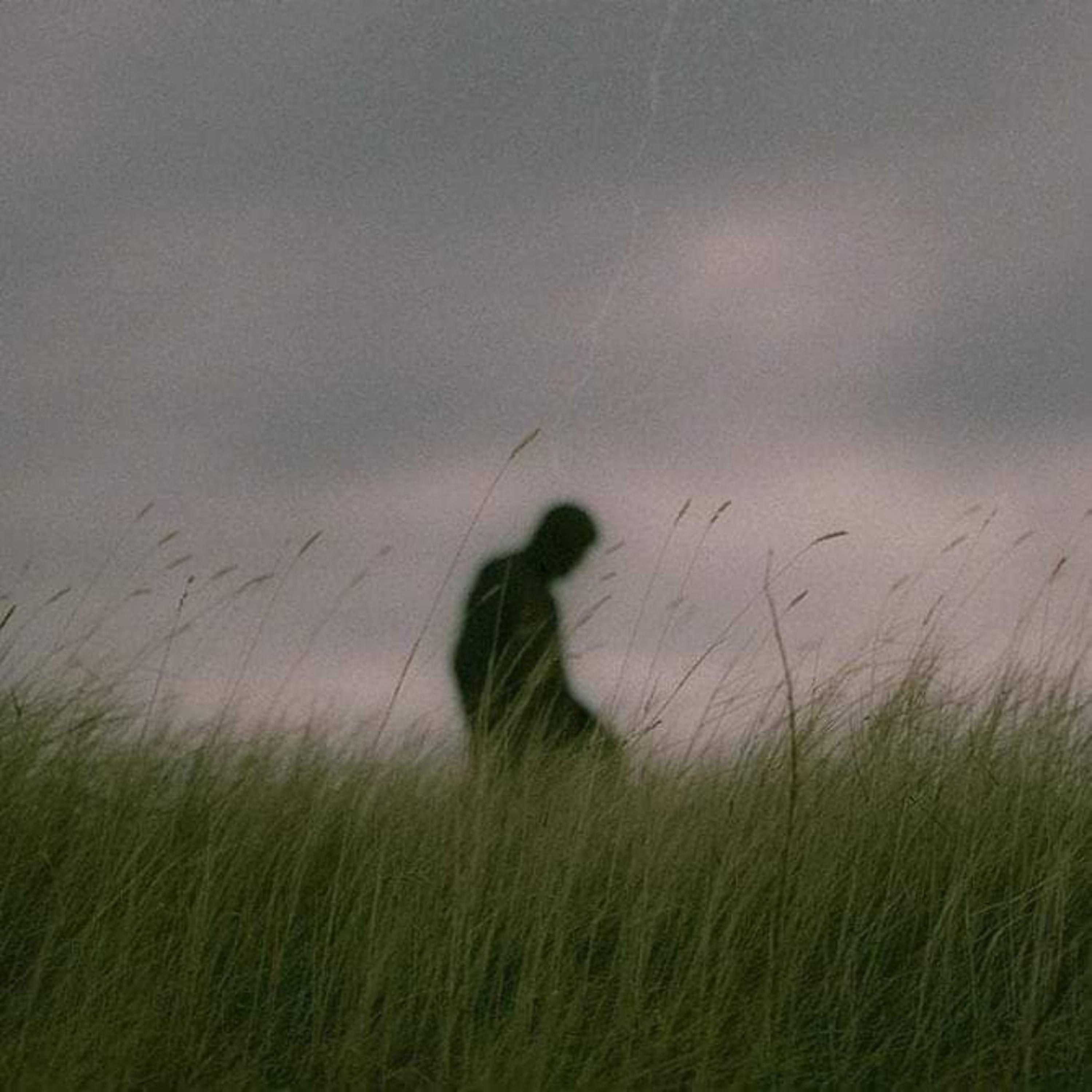 This is The Happiness and Peace of Mind Committee