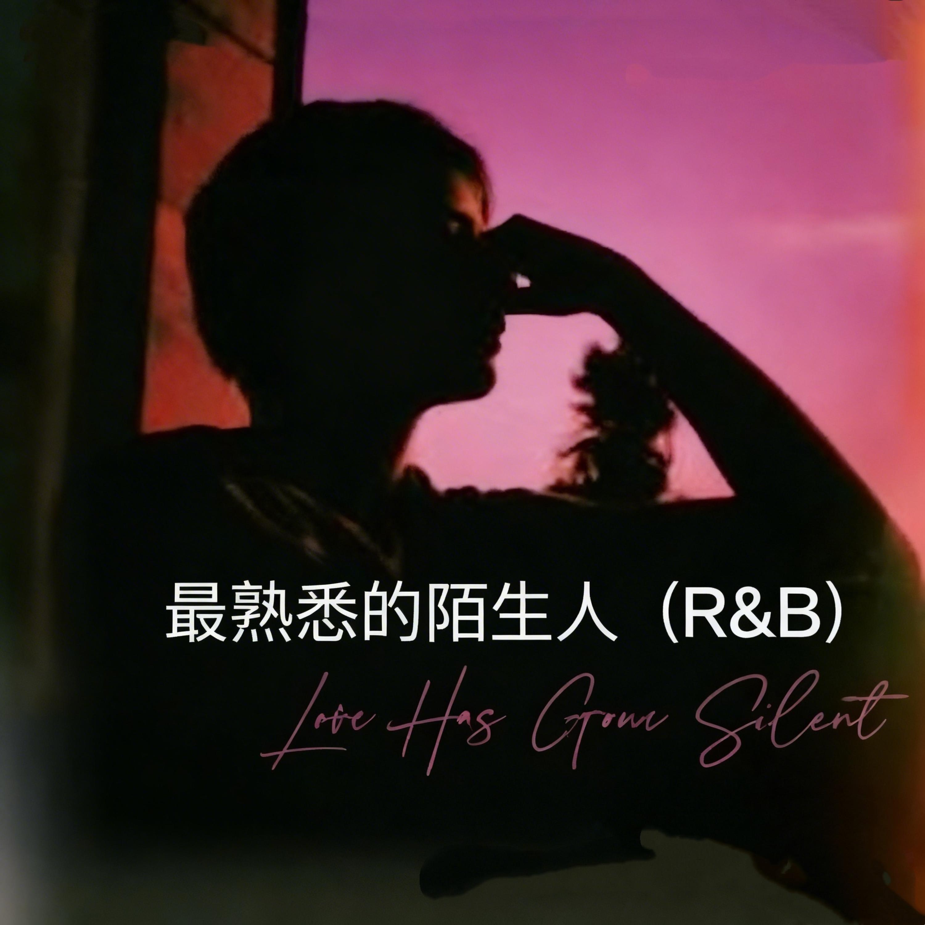 最熟悉的陌生人（R&B版）封面