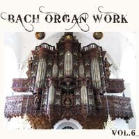 Bach Organ Work, Vol. 6