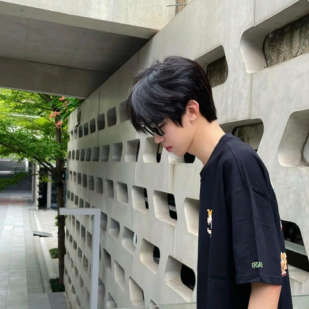 只要平凡(手风琴版)