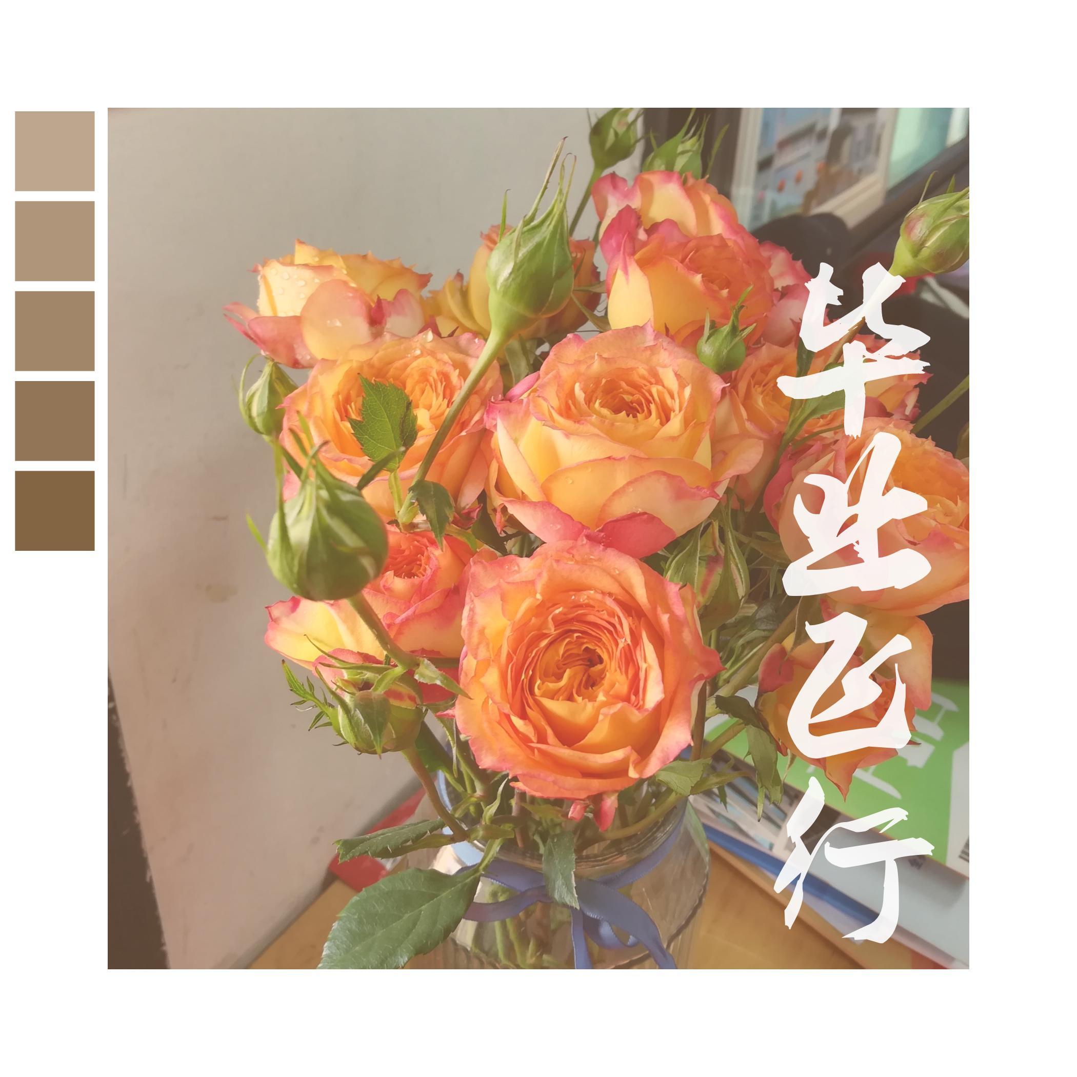 毕业飞行封面