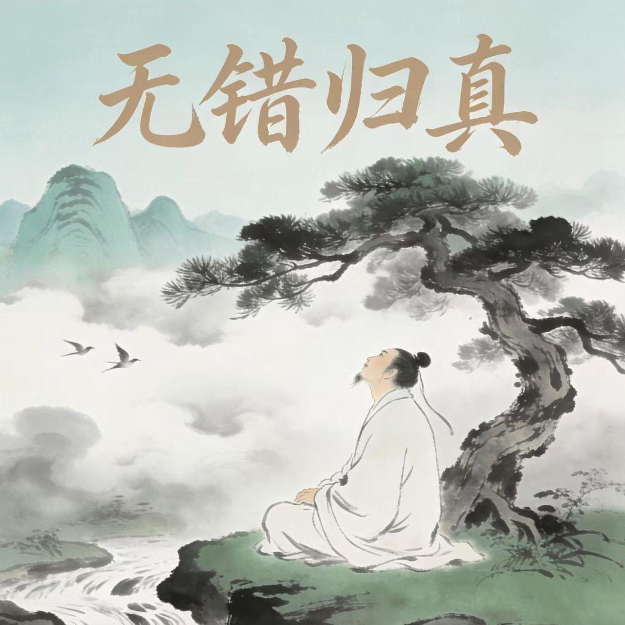 王志诚 - 无错归真封面