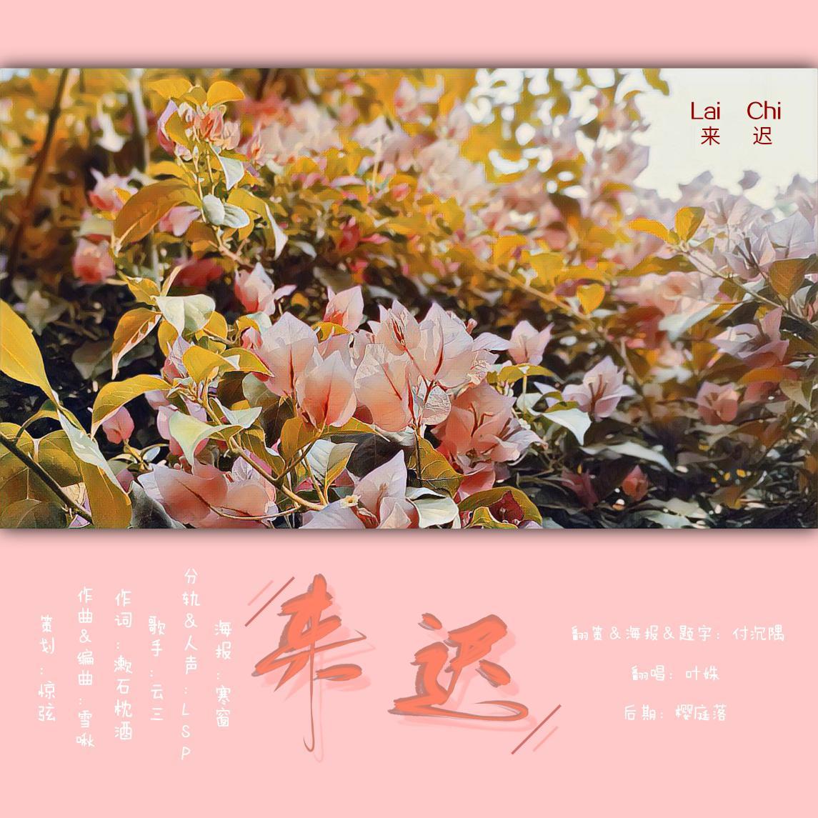 来迟封面