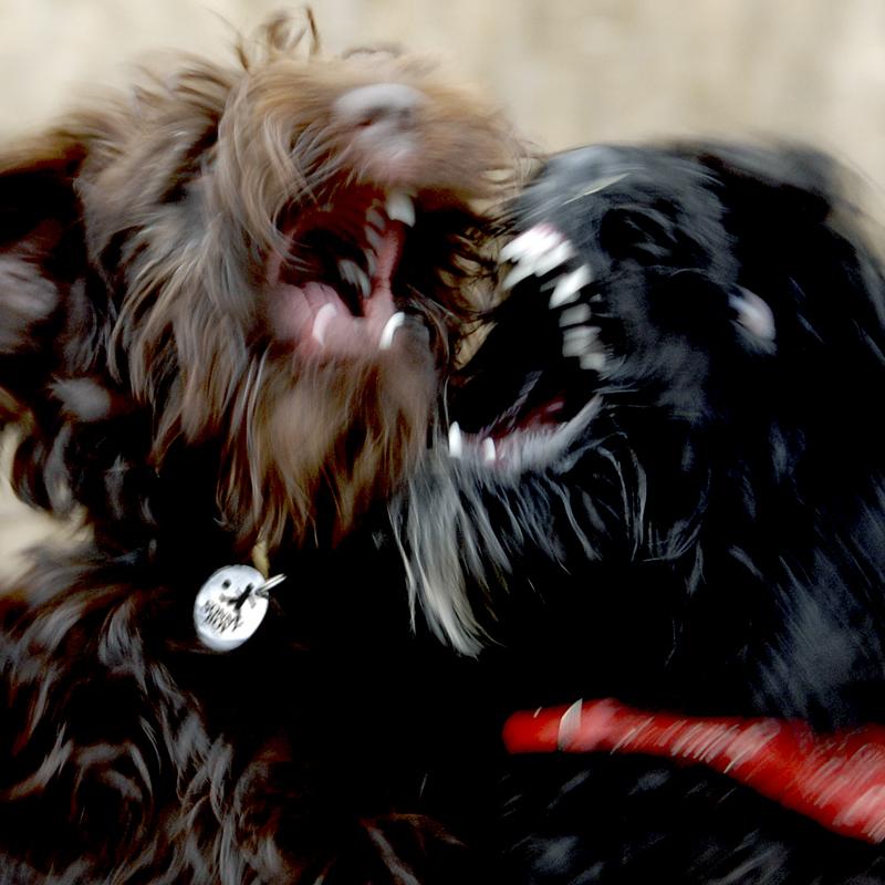 Whatever Happened to The Fingertipsaint?