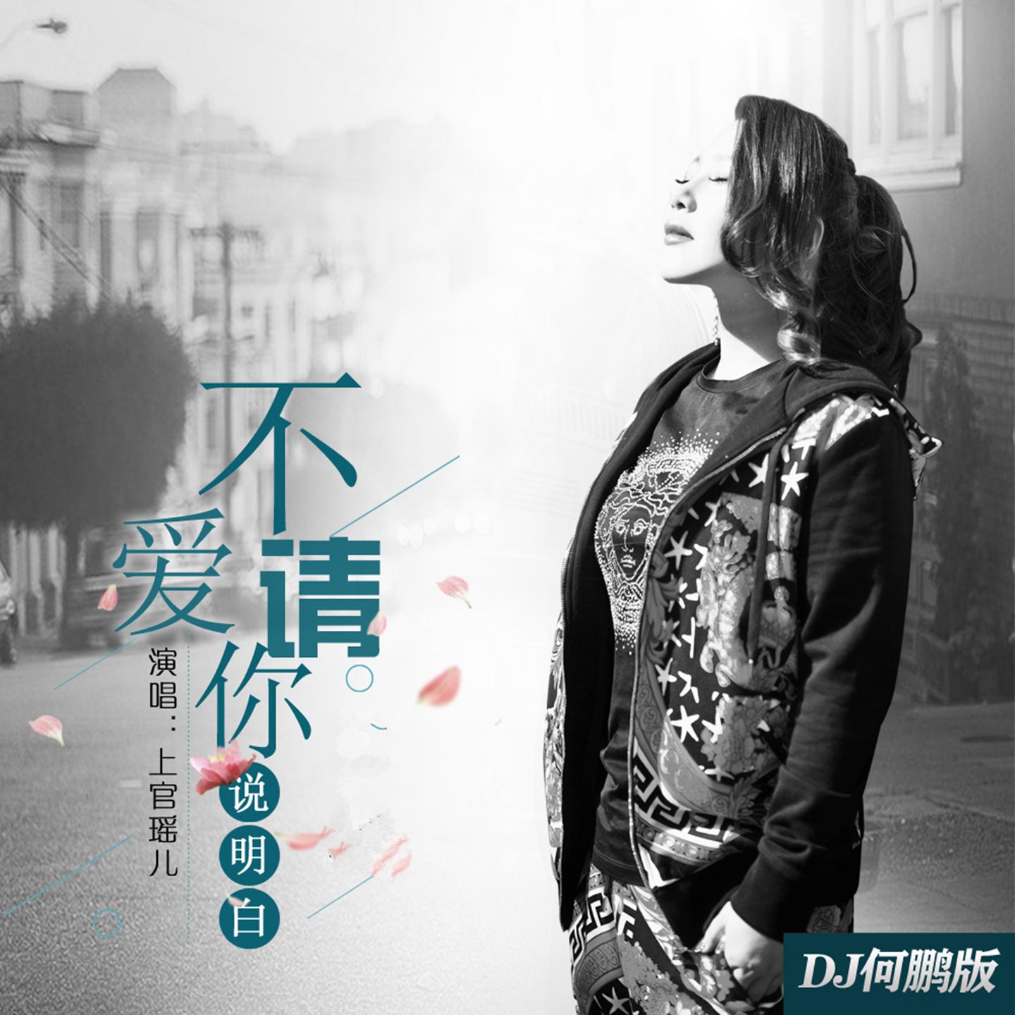 不爱请你说明白 (DJ版)封面