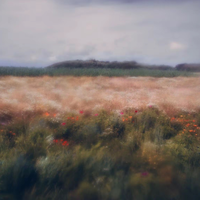 Gu_Huihe资料,Gu_Huihe最新歌曲,Gu_HuiheMV视频,Gu_Huihe音乐专辑,Gu_Huihe好听的歌