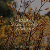 Meditation Sounds | Sleep & Serenity