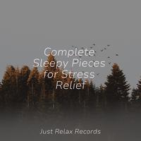 Complete Sleepy Pieces for Stress Relief