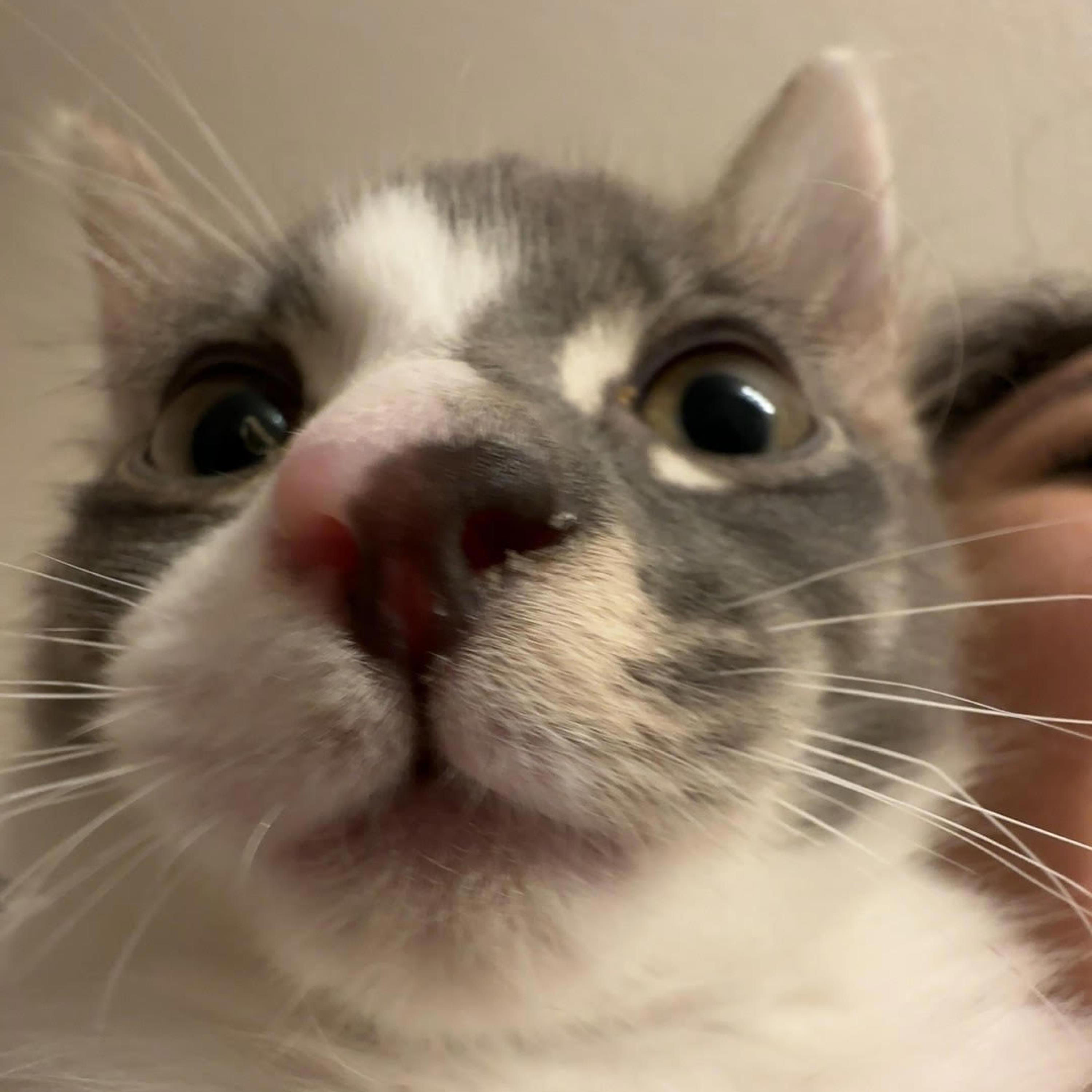 Picture Perfect (feat. Luvfredo)