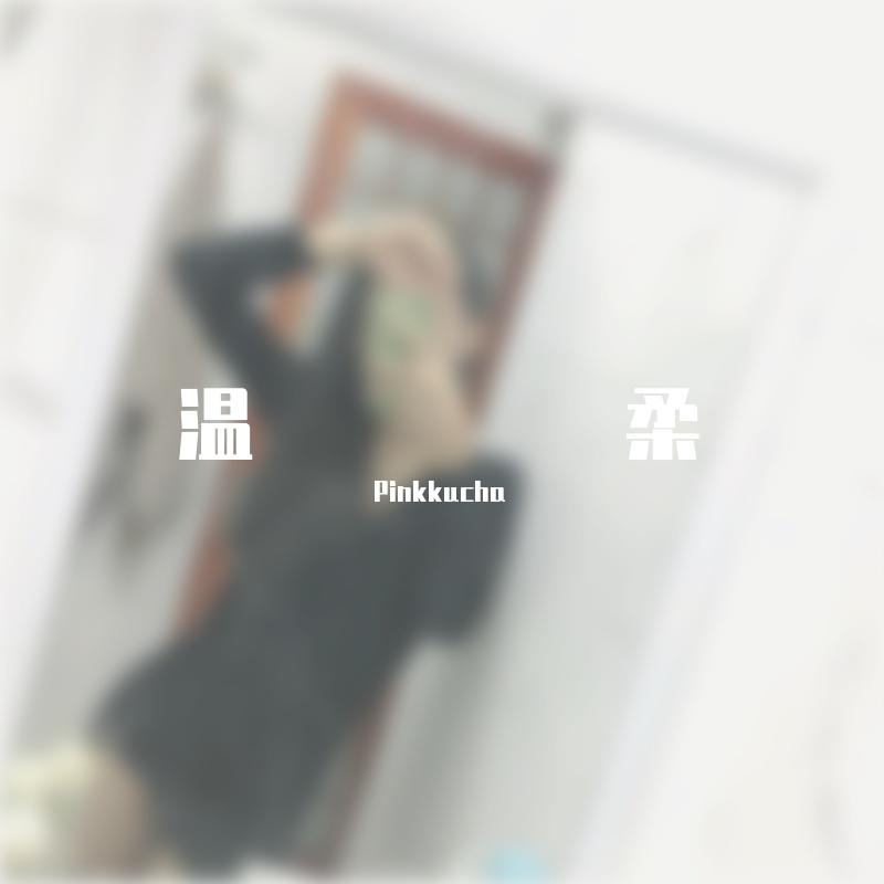 清风独醉封面