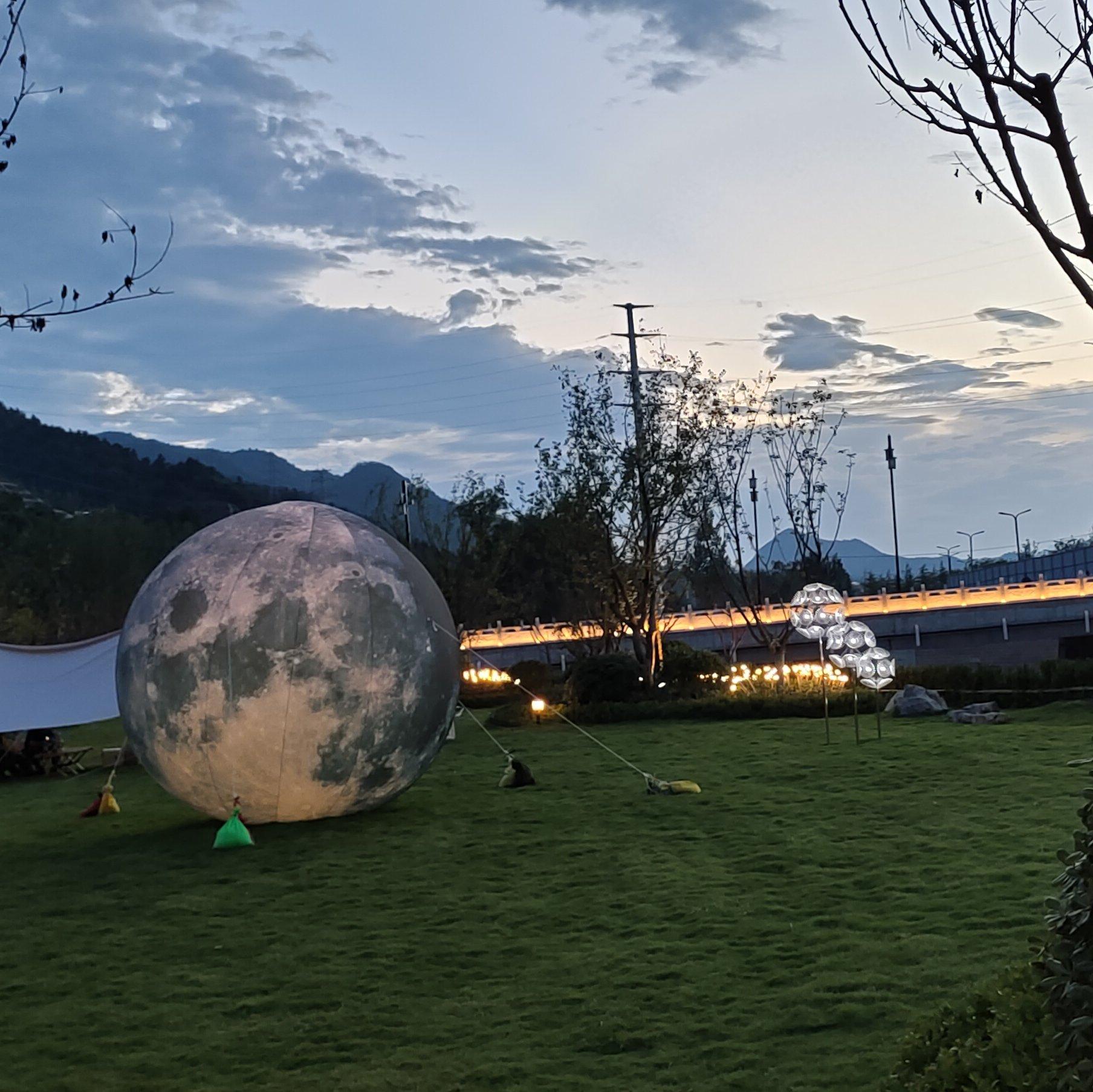 樱花树下的约定