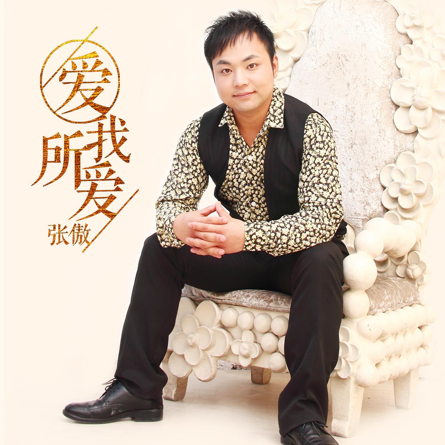 爱我所爱封面