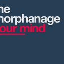 The Morphanage