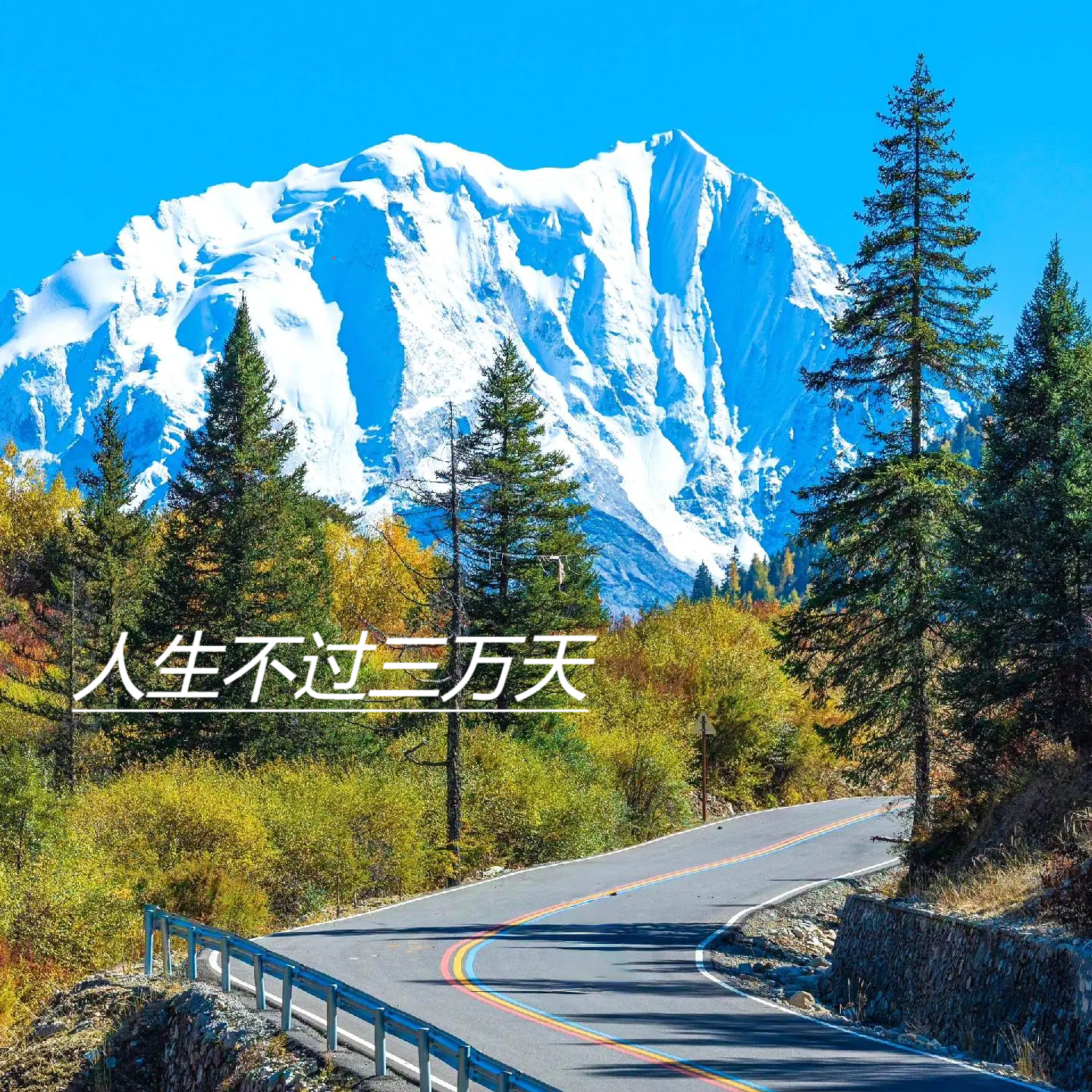 努力加油我们一定会赢的封面