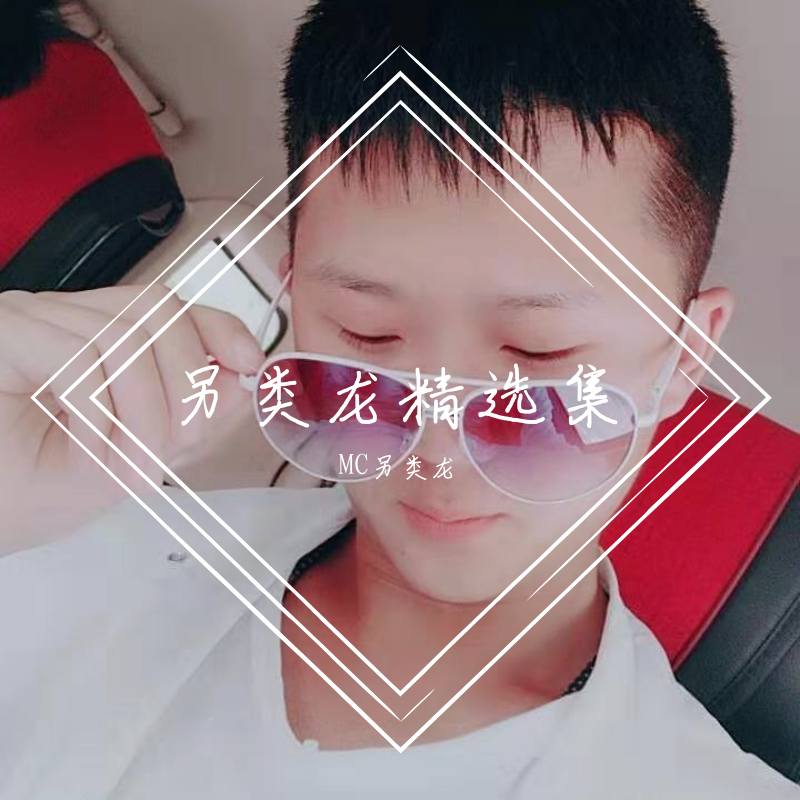 阳光不燥微风正好封面