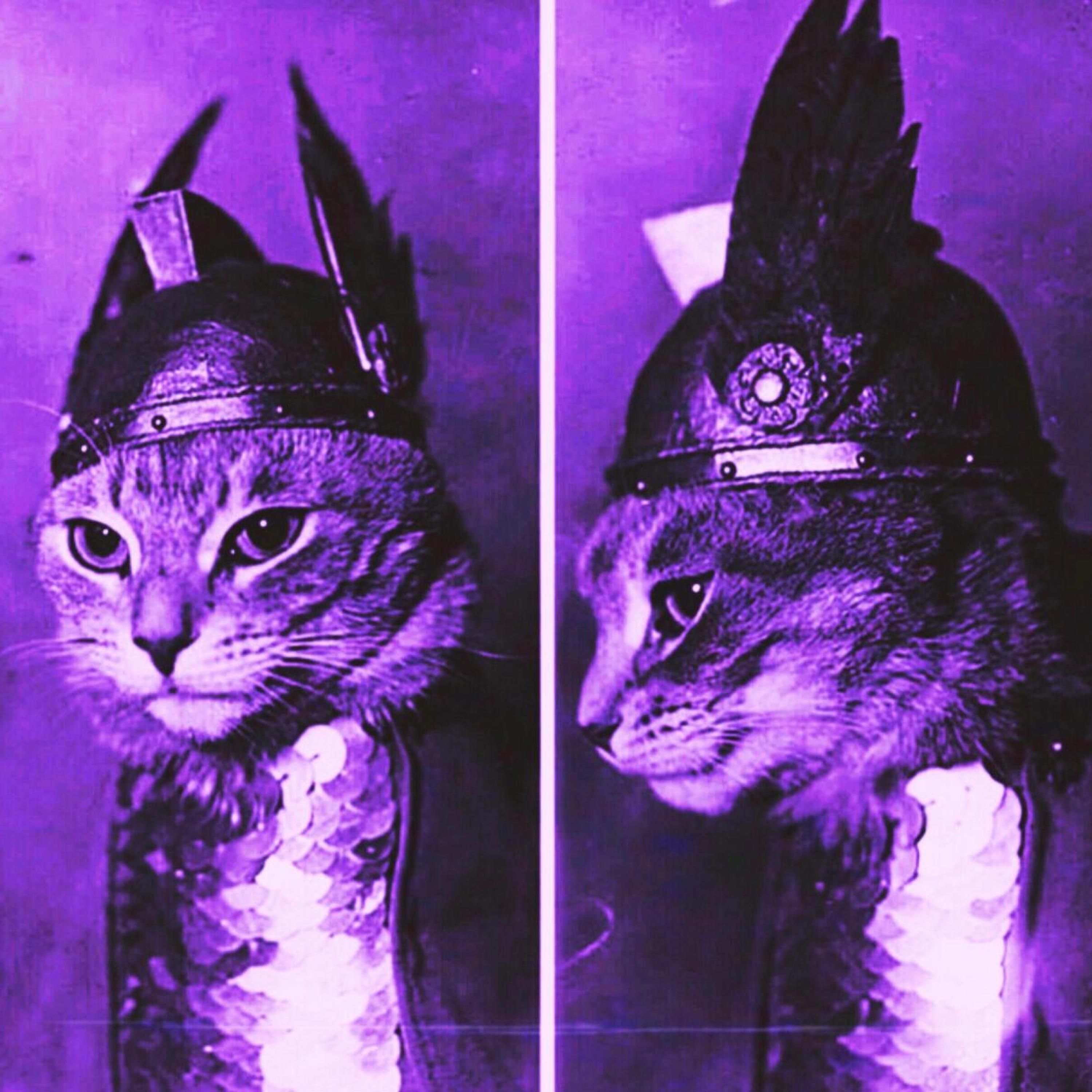 Herme$ Song 2 (feat. WAVXLORD)