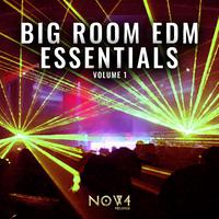 Big Room EDM Essentials, Vol. 1