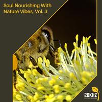 Soul Nourishing With Nature Vibes, Vol. 3