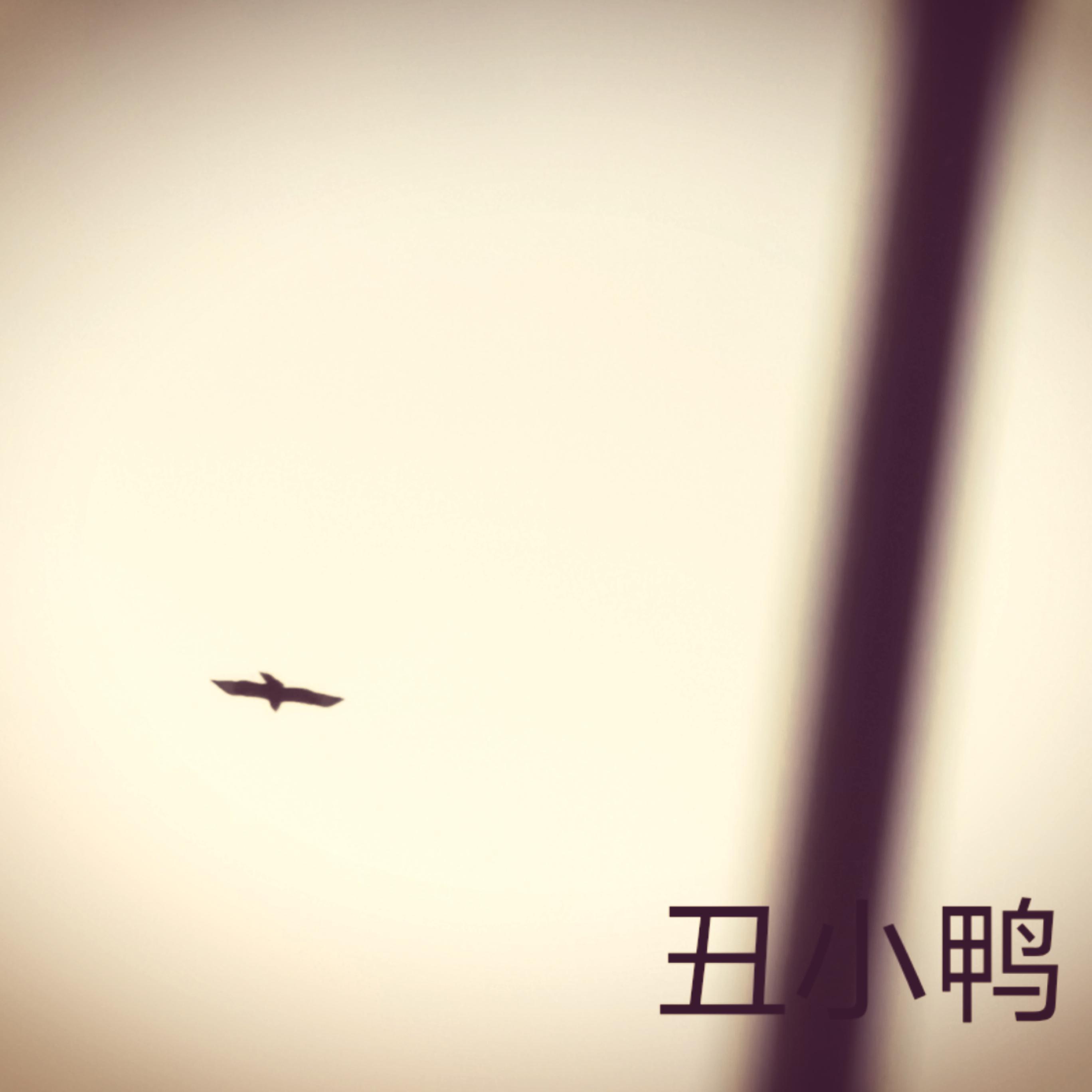 song-img