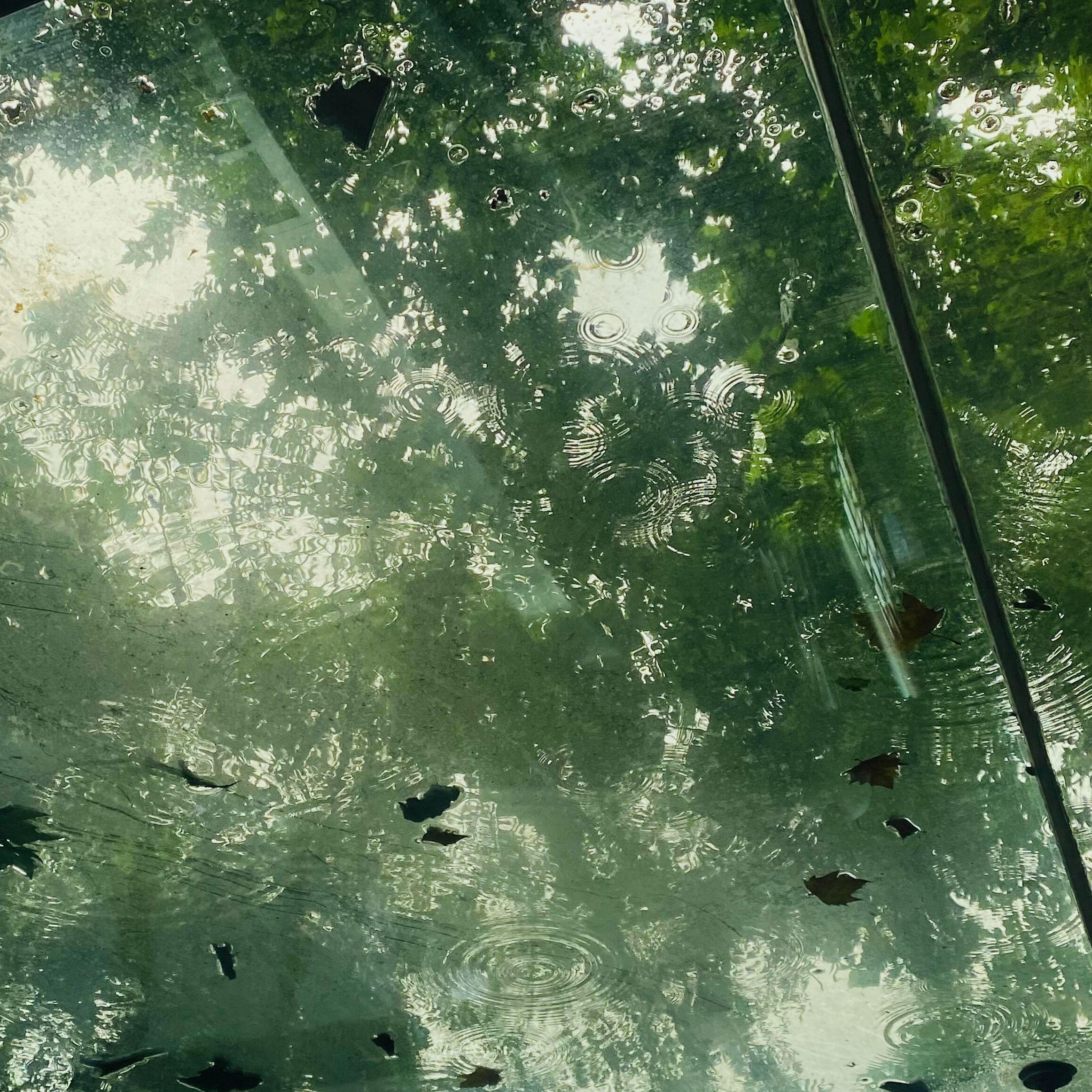 潮湿的雨天总会喜欢胡思乱想些什么...