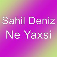 Ne Yaxsi