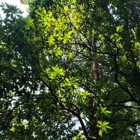 光隙资料,光隙最新歌曲,光隙MV视频,光隙音乐专辑,光隙好听的歌