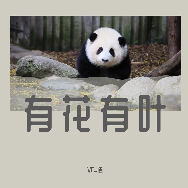 《有花有叶》 VE_浩_VE_浩_有花有叶 | 在线播放_《有花有叶》 VE_浩歌词_《有花有叶》 VE_浩下载 | 网易云音乐