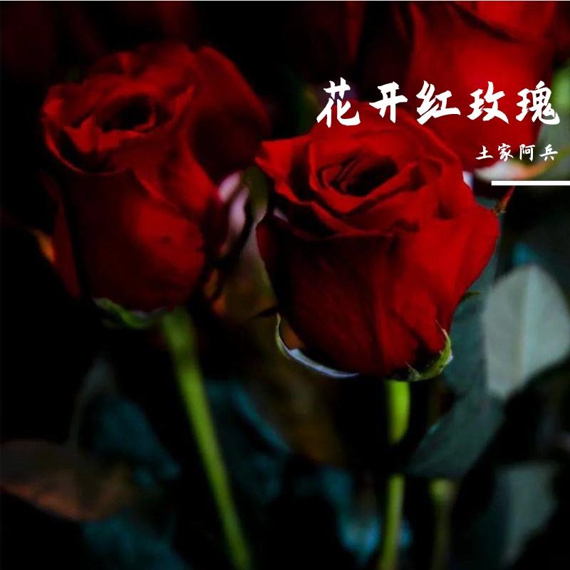 今生只为遇见你 伴奏封面