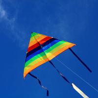 Kite