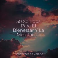 50 Sonidos Para El Bienestar Y La Meditación