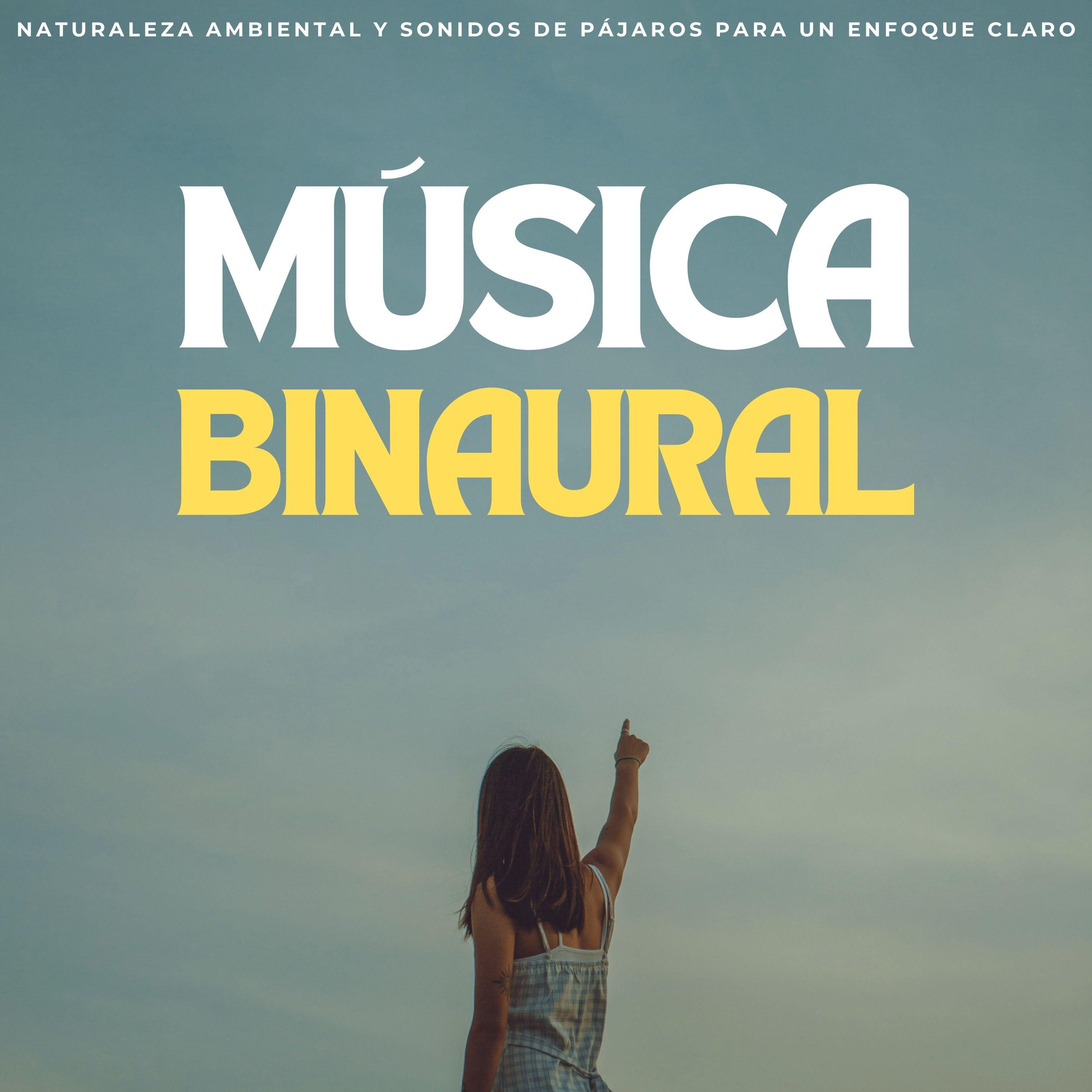 Ondas Ambientales En El Abrazo Del Canto De Los Pájaros_Onda cerebral binaural_Música Binaural: Naturaleza Ambiental Y Sonidos De Pájaros Para Un Enfoque Claro | 在线播放_Ondas Ambientales En El Abrazo Del Canto De Los Pájaros歌词_Ondas Ambientales En El Abrazo Del Canto De Los Pájaros下载 | 网易云音乐