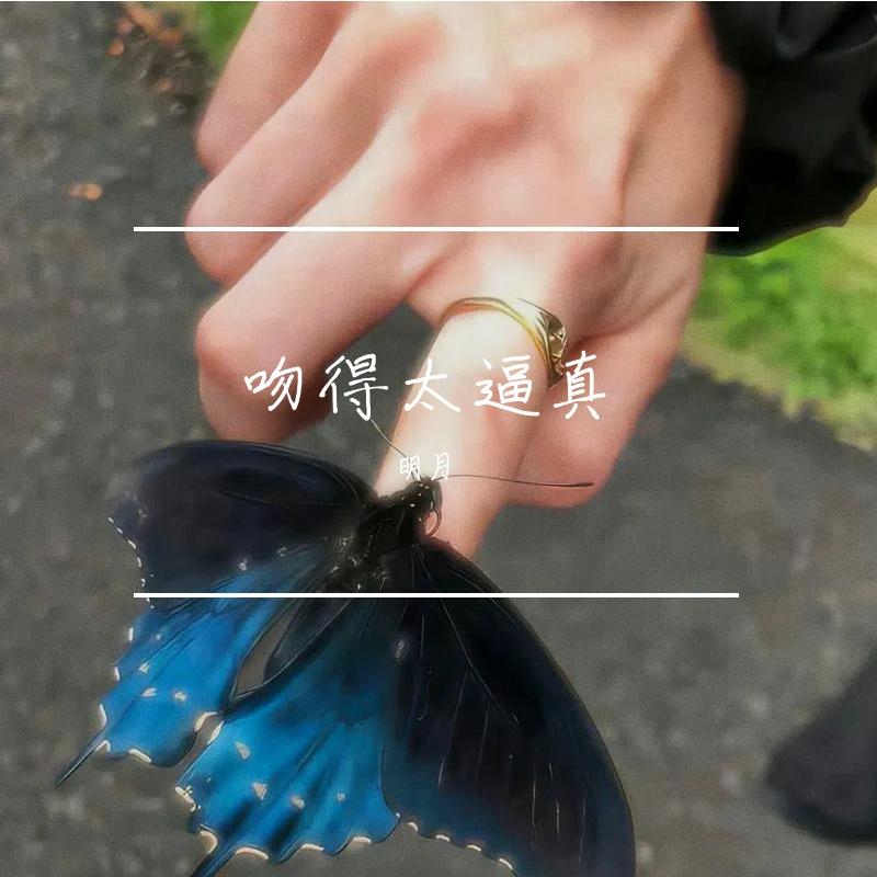 吻得太逼真 (DJ版)封面