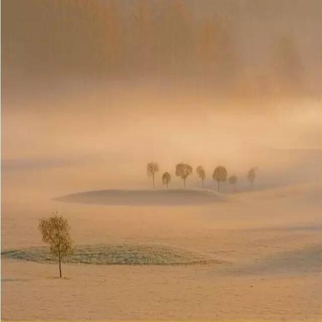 Asphyxia(窒息)（翻自 逆时针向）