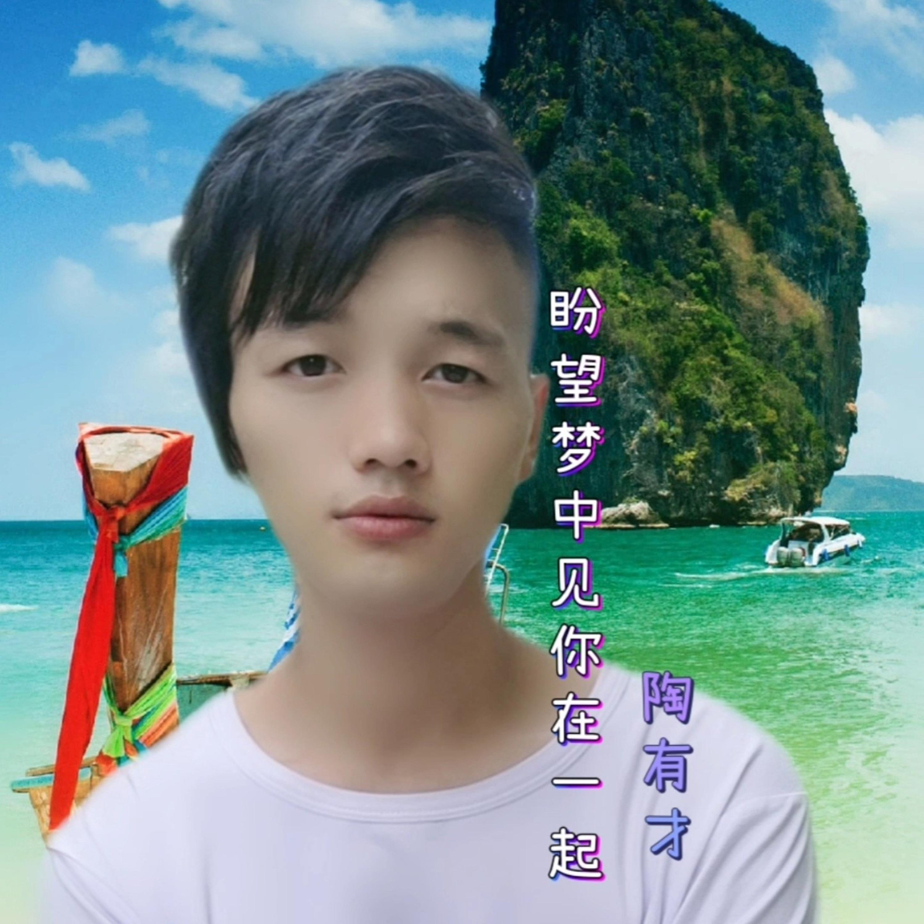 一朵鲜花插在牛粪上 (陶有才编改版) - 陶有才封面