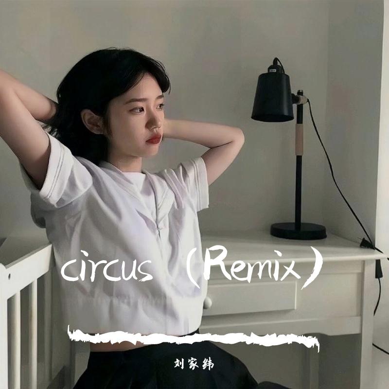 circus (Remix)