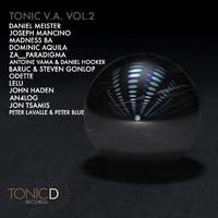 TONIC V.A. VOL.2