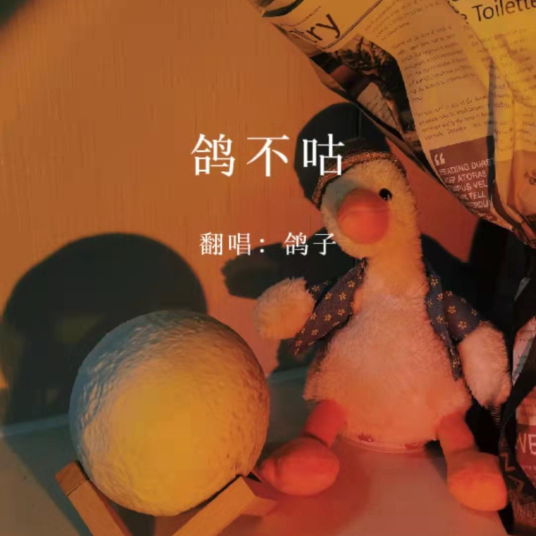 芳华慢+霜雪千年(双声道版)封面