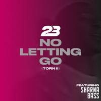 No Letting Go (Torn 2)