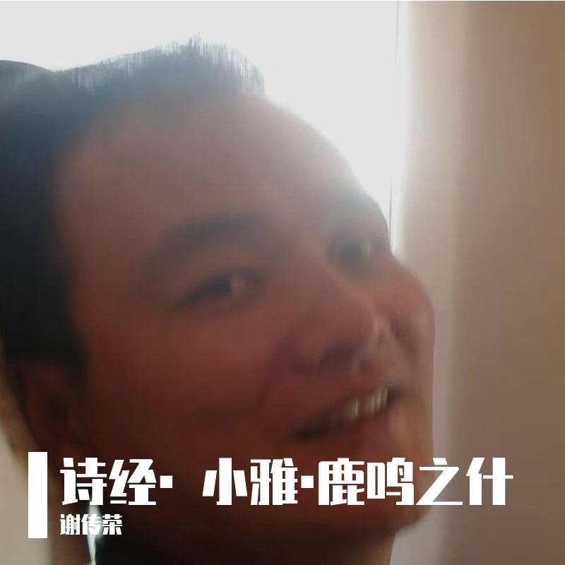 诗经·小雅·常棣