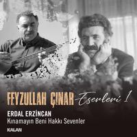 Kınamayın Beni Hakkı Sevenler (Feyzullah Çınar Eserleri 1)