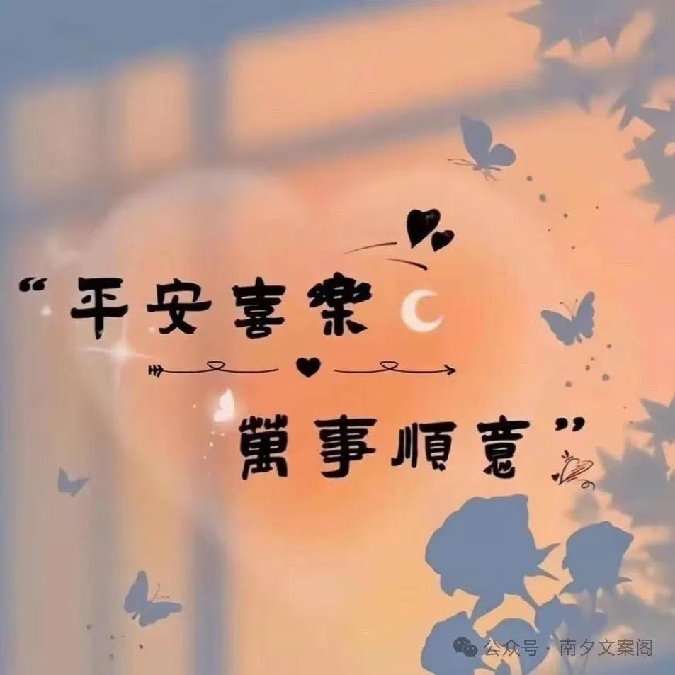 我们的歌(Live)封面