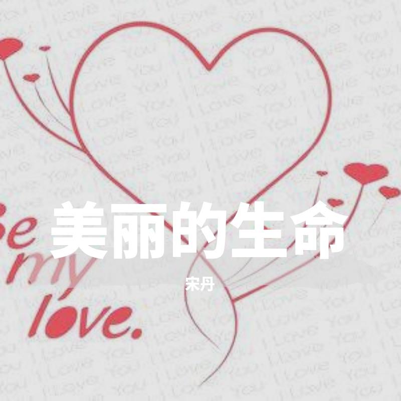 雨不停歇封面