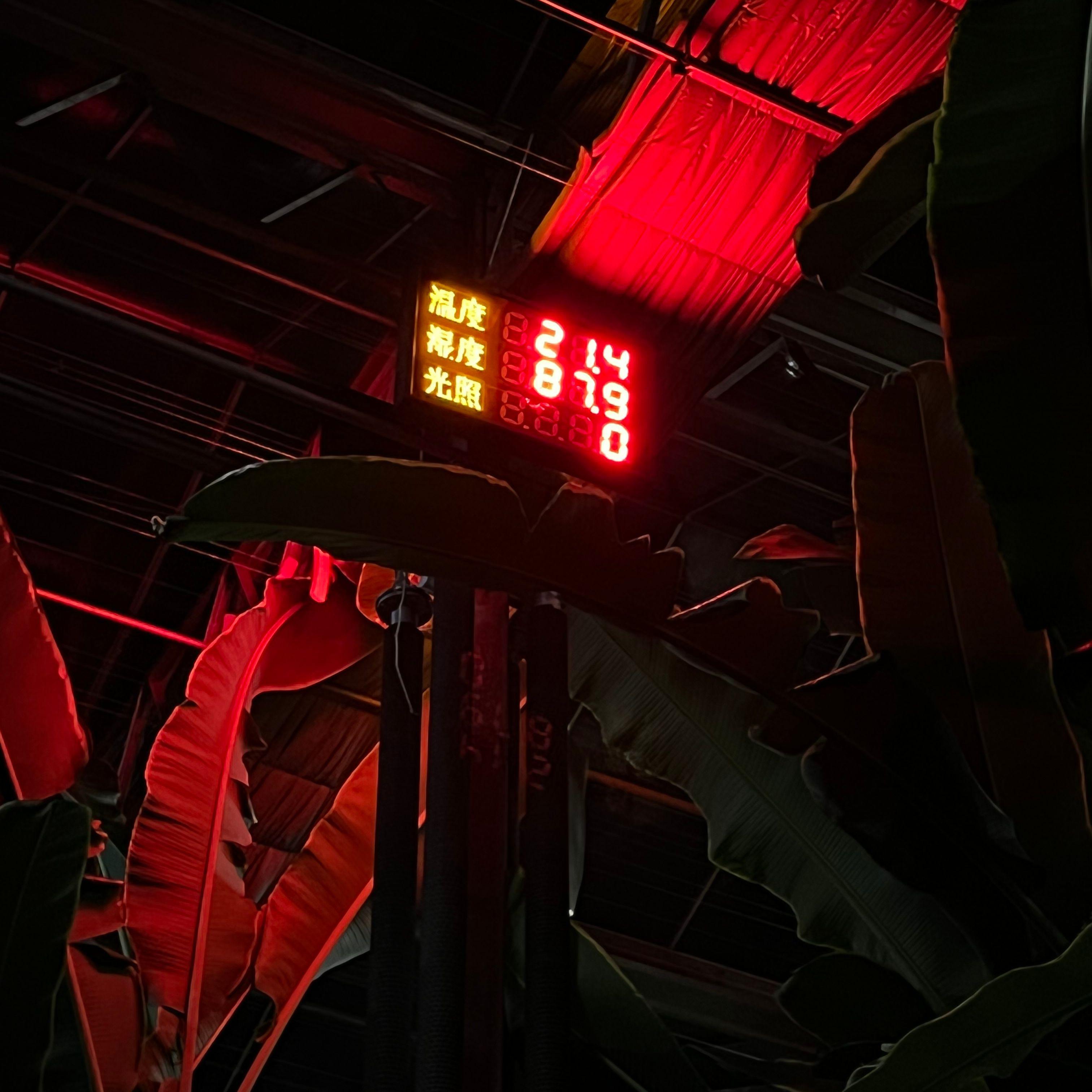 七月上1664885965982_20221004_205538