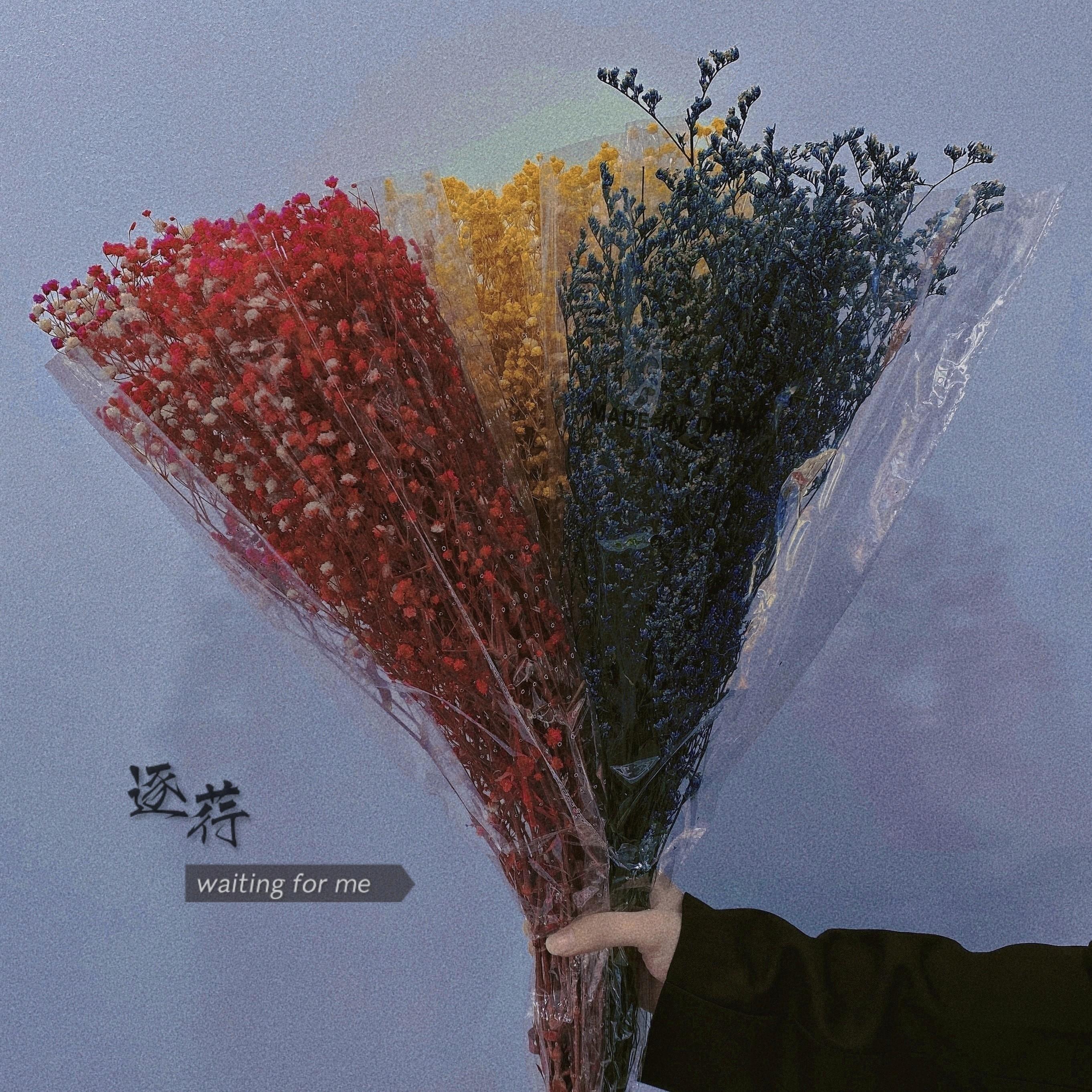 等 着 我封面