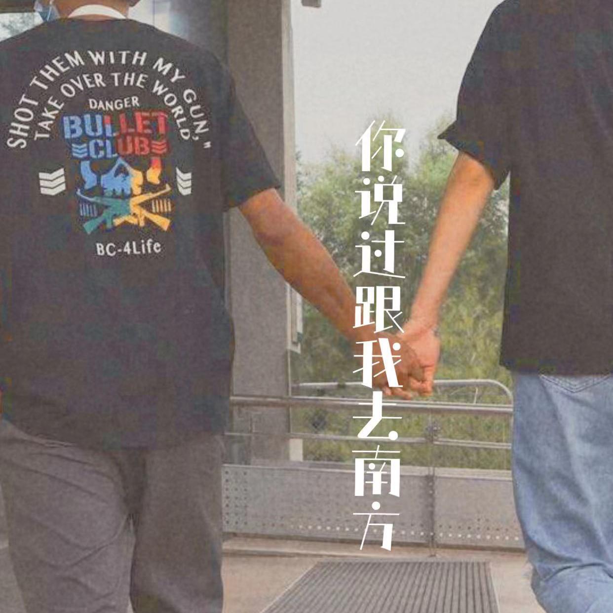 你说过跟我回南方封面