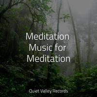 Meditation Music for Meditation